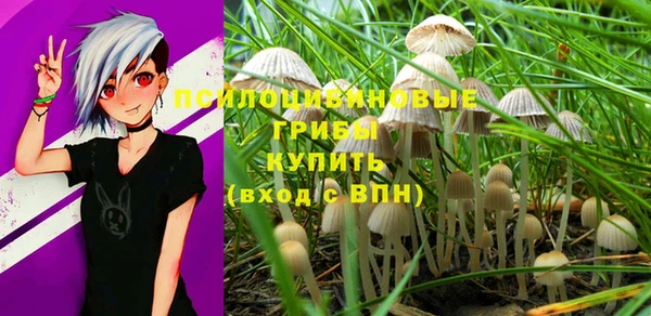 a pvp Магас