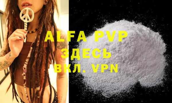 a pvp Магас