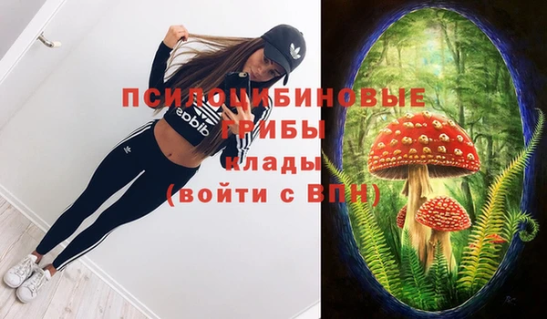 a pvp Магас