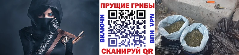 omg tor  Среднеколымск  Галлюциногенные грибы MAGIC MUSHROOMS 